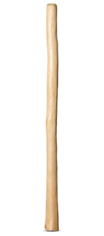 Medium Size Natural Finish Didgeridoo (TW858)